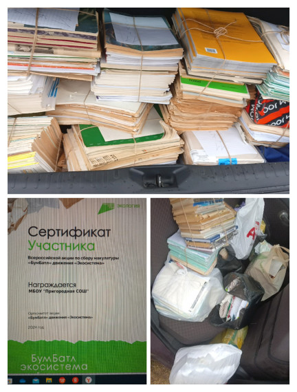 Бумбатл- 2024.
