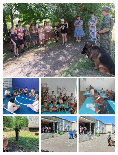 День служебных сообщений.